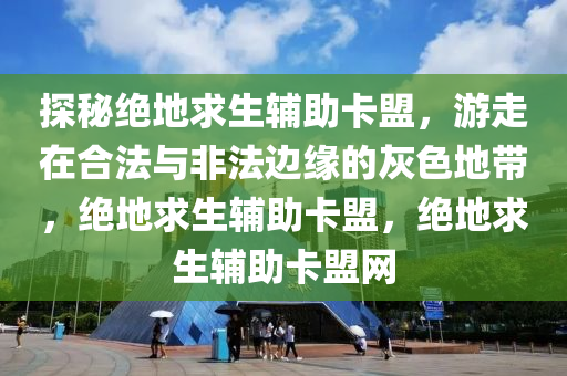 探秘绝地求生辅助卡盟，游走在合法与非法边缘的灰色地带，绝地求生辅助卡盟，绝地求生辅助卡盟网