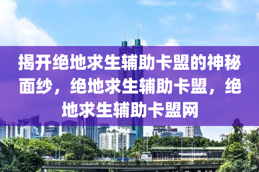 揭开绝地求生辅助卡盟的神秘面纱，绝地求生辅助卡盟，绝地求生辅助卡盟网