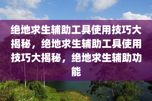 绝地求生辅助工具使用技巧大揭秘，绝地求生辅助工具使用技巧大揭秘，绝地求生辅助功能