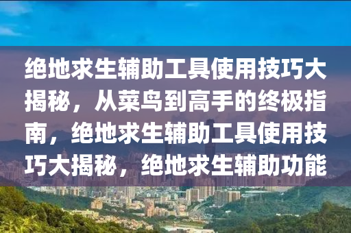 绝地求生辅助工具使用技巧大揭秘，从菜鸟到高手的终极指南，绝地求生辅助工具使用技巧大揭秘，绝地求生辅助功能