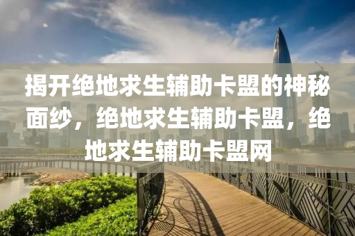 揭开绝地求生辅助卡盟的神秘面纱，绝地求生辅助卡盟，绝地求生辅助卡盟网