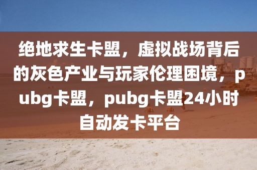 绝地求生卡盟，虚拟战场背后的灰色产业与玩家伦理困境，pubg卡盟，pubg卡盟24小时自动发卡平台