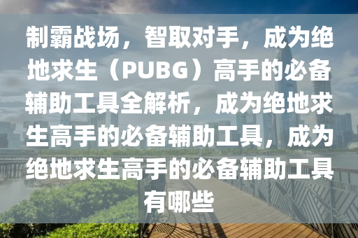 制霸战场，智取对手，成为绝地求生（PUBG）高手的必备辅助工具全解析，成为绝地求生高手的必备辅助工具，成为绝地求生高手的必备辅助工具有哪些