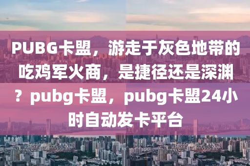 PUBG卡盟，游走于灰色地带的吃鸡军火商，是捷径还是深渊？pubg卡盟，pubg卡盟24小时自动发卡平台