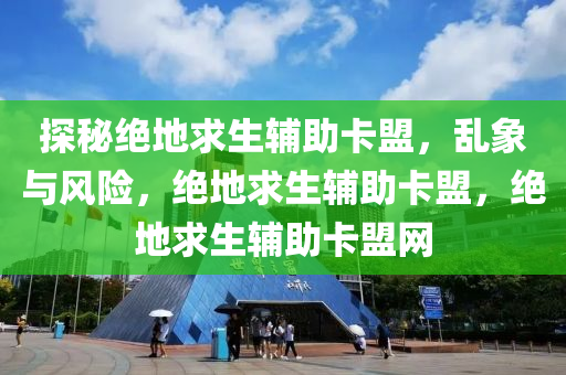 探秘绝地求生辅助卡盟，乱象与风险，绝地求生辅助卡盟，绝地求生辅助卡盟网