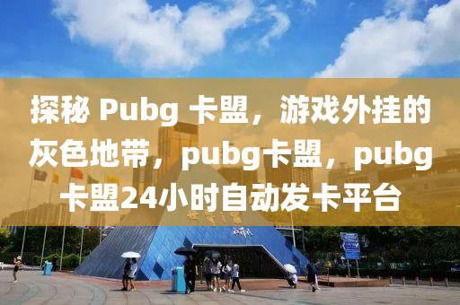探秘 Pubg 卡盟，游戏外挂的灰色地带，pubg卡盟，pubg卡盟24小时自动发卡平台