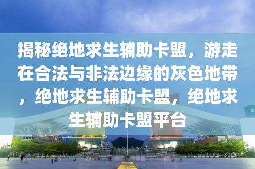 揭秘绝地求生辅助卡盟，游走在合法与非法边缘的灰色地带，绝地求生辅助卡盟，绝地求生辅助卡盟平台