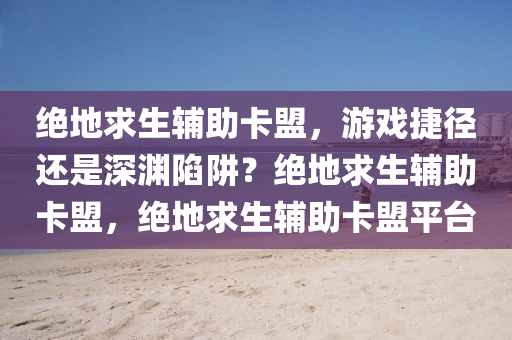 绝地求生辅助卡盟，游戏捷径还是深渊陷阱？绝地求生辅助卡盟，绝地求生辅助卡盟平台
