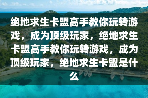 绝地求生卡盟高手教你玩转游戏，成为顶级玩家，绝地求生卡盟高手教你玩转游戏，成为顶级玩家，绝地求生卡盟是什么