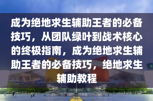 成为绝地求生辅助王者的必备技巧，从团队绿叶到战术核心的终极指南，成为绝地求生辅助王者的必备技巧，绝地求生辅助教程