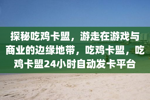 探秘吃鸡卡盟，游走在游戏与商业的边缘地带，吃鸡卡盟，吃鸡卡盟24小时自动发卡平台