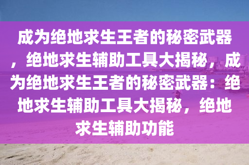 成为绝地求生王者的秘密武器，绝地求生辅助工具大揭秘，成为绝地求生王者的秘密武器：绝地求生辅助工具大揭秘，绝地求生辅助功能