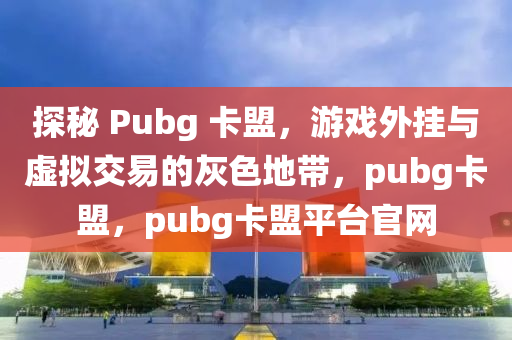 探秘 Pubg 卡盟，游戏外挂与虚拟交易的灰色地带，pubg卡盟，pubg卡盟平台官网