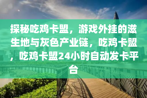 探秘吃鸡卡盟，游戏外挂的滋生地与灰色产业链，吃鸡卡盟，吃鸡卡盟24小时自动发卡平台