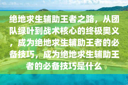 绝地求生辅助王者之路，从团队绿叶到战术核心的终极奥义，成为绝地求生辅助王者的必备技巧，成为绝地求生辅助王者的必备技巧是什么