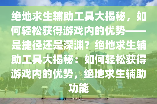 绝地求生辅助工具大揭秘，如何轻松获得游戏内的优势——是捷径还是深渊？绝地求生辅助工具大揭秘：如何轻松获得游戏内的优势，绝地求生辅助功能