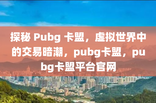 探秘 Pubg 卡盟，虚拟世界中的交易暗潮，pubg卡盟，pubg卡盟平台官网