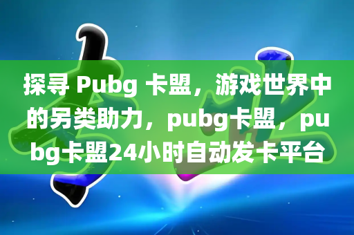 探寻 Pubg 卡盟，游戏世界中的另类助力，pubg卡盟，pubg卡盟24小时自动发卡平台