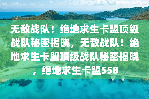 无敌战队！绝地求生卡盟顶级战队秘密揭晓，无敌战队！绝地求生卡盟顶级战队秘密揭晓，绝地求生卡盟558