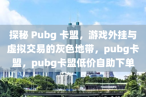 探秘 Pubg 卡盟，游戏外挂与虚拟交易的灰色地带，pubg卡盟，pubg卡盟低价自助下单