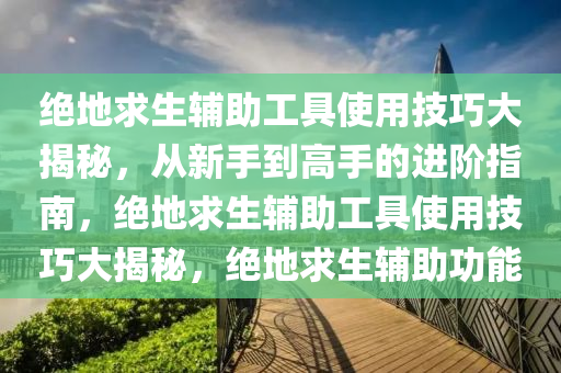绝地求生辅助工具使用技巧大揭秘，从新手到高手的进阶指南，绝地求生辅助工具使用技巧大揭秘，绝地求生辅助功能