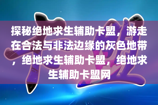 探秘绝地求生辅助卡盟，游走在合法与非法边缘的灰色地带，绝地求生辅助卡盟，绝地求生辅助卡盟网