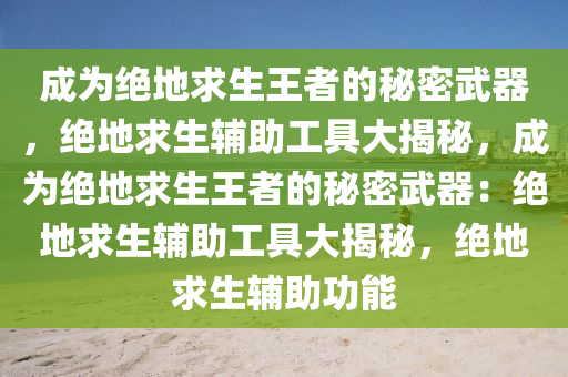成为绝地求生王者的秘密武器，绝地求生辅助工具大揭秘，成为绝地求生王者的秘密武器：绝地求生辅助工具大揭秘，绝地求生辅助功能