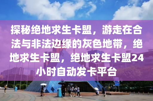 探秘绝地求生卡盟，游走在合法与非法边缘的灰色地带，绝地求生卡盟，绝地求生卡盟24小时自动发卡平台