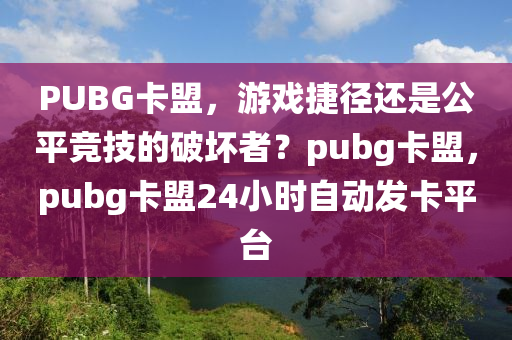 PUBG卡盟，游戏捷径还是公平竞技的破坏者？pubg卡盟，pubg卡盟24小时自动发卡平台