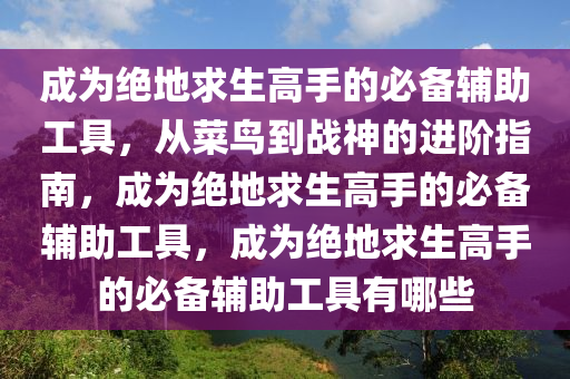 成为绝地求生高手的必备辅助工具，从菜鸟到战神的进阶指南，成为绝地求生高手的必备辅助工具，成为绝地求生高手的必备辅助工具有哪些