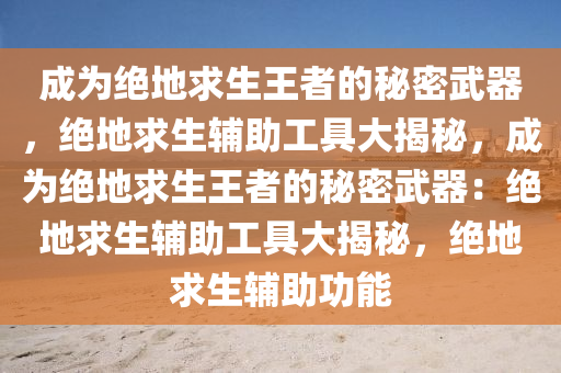 成为绝地求生王者的秘密武器，绝地求生辅助工具大揭秘，成为绝地求生王者的秘密武器：绝地求生辅助工具大揭秘，绝地求生辅助功能