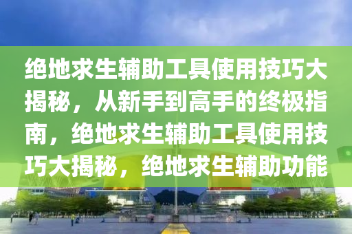 绝地求生辅助工具使用技巧大揭秘，从新手到高手的终极指南，绝地求生辅助工具使用技巧大揭秘，绝地求生辅助功能