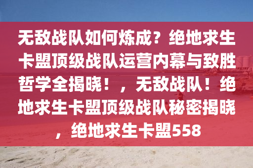 无敌战队如何炼成？绝地求生卡盟顶级战队运营内幕与致胜哲学全揭晓！，无敌战队！绝地求生卡盟顶级战队秘密揭晓，绝地求生卡盟558
