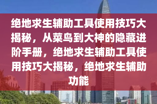 绝地求生辅助工具使用技巧大揭秘，从菜鸟到大神的隐藏进阶手册，绝地求生辅助工具使用技巧大揭秘，绝地求生辅助功能