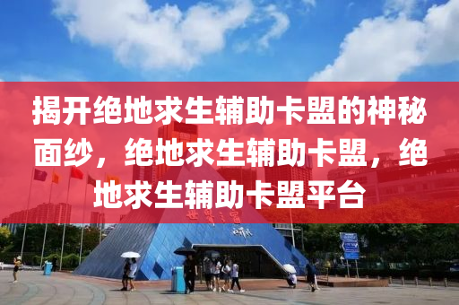 揭开绝地求生辅助卡盟的神秘面纱，绝地求生辅助卡盟，绝地求生辅助卡盟平台