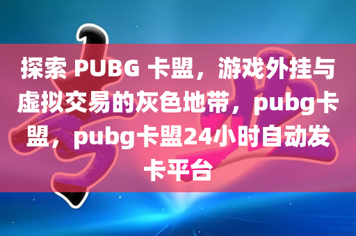 探索 PUBG 卡盟，游戏外挂与虚拟交易的灰色地带，pubg卡盟，pubg卡盟24小时自动发卡平台