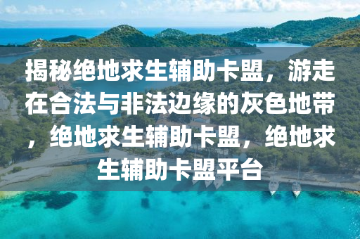 揭秘绝地求生辅助卡盟，游走在合法与非法边缘的灰色地带，绝地求生辅助卡盟，绝地求生辅助卡盟平台
