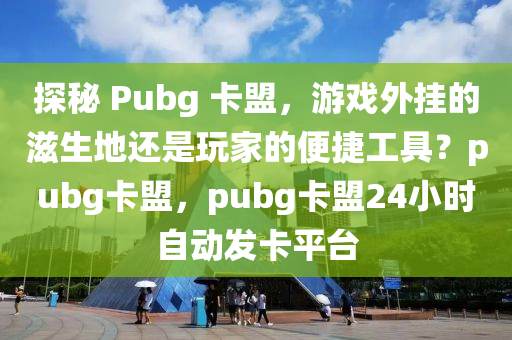 探秘 Pubg 卡盟，游戏外挂的滋生地还是玩家的便捷工具？pubg卡盟，pubg卡盟24小时自动发卡平台