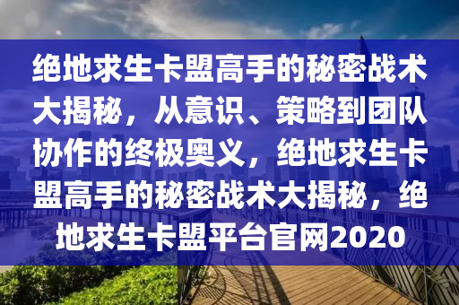绝地求生卡盟高手的秘密战术大揭秘，从意识、策略到团队协作的终极奥义，绝地求生卡盟高手的秘密战术大揭秘，绝地求生卡盟平台官网2020