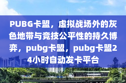 PUBG卡盟，虚拟战场外的灰色地带与竞技公平性的持久博弈，pubg卡盟，pubg卡盟24小时自动发卡平台
