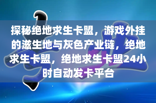 探秘绝地求生卡盟，游戏外挂的滋生地与灰色产业链，绝地求生卡盟，绝地求生卡盟24小时自动发卡平台