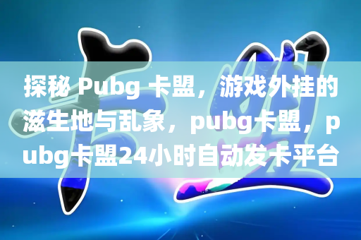 探秘 Pubg 卡盟，游戏外挂的滋生地与乱象，pubg卡盟，pubg卡盟24小时自动发卡平台