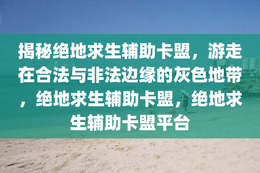 揭秘绝地求生辅助卡盟，游走在合法与非法边缘的灰色地带，绝地求生辅助卡盟，绝地求生辅助卡盟平台