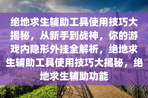 绝地求生辅助工具使用技巧大揭秘，从新手到战神，你的游戏内隐形外挂全解析，绝地求生辅助工具使用技巧大揭秘，绝地求生辅助功能