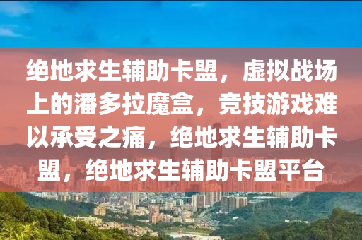 绝地求生辅助卡盟，虚拟战场上的潘多拉魔盒，竞技游戏难以承受之痛，绝地求生辅助卡盟，绝地求生辅助卡盟平台