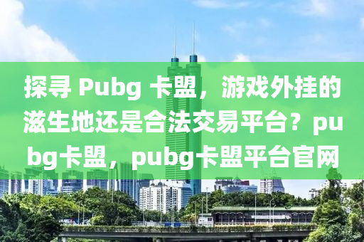 探寻 Pubg 卡盟，游戏外挂的滋生地还是合法交易平台？pubg卡盟，pubg卡盟平台官网