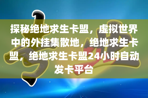 探秘绝地求生卡盟，虚拟世界中的外挂集散地，绝地求生卡盟，绝地求生卡盟24小时自动发卡平台