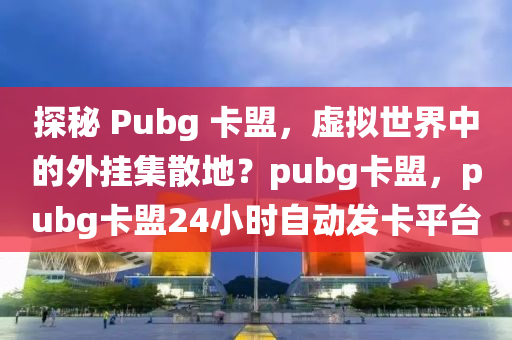 探秘 Pubg 卡盟，虚拟世界中的外挂集散地？pubg卡盟，pubg卡盟24小时自动发卡平台