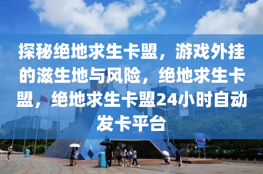 探秘绝地求生卡盟，游戏外挂的滋生地与风险，绝地求生卡盟，绝地求生卡盟24小时自动发卡平台