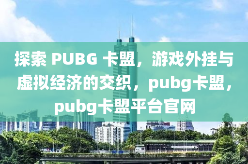 探索 PUBG 卡盟，游戏外挂与虚拟经济的交织，pubg卡盟，pubg卡盟平台官网